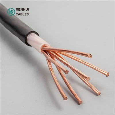16 25 35 50 70 95 120 150 185 240 300mm Καλώδιο τροφοδοσίας από PVC με μόνωση πολλαπλών πυρήνων χαλκού αγωγού XLPE NYY NYM N2XY